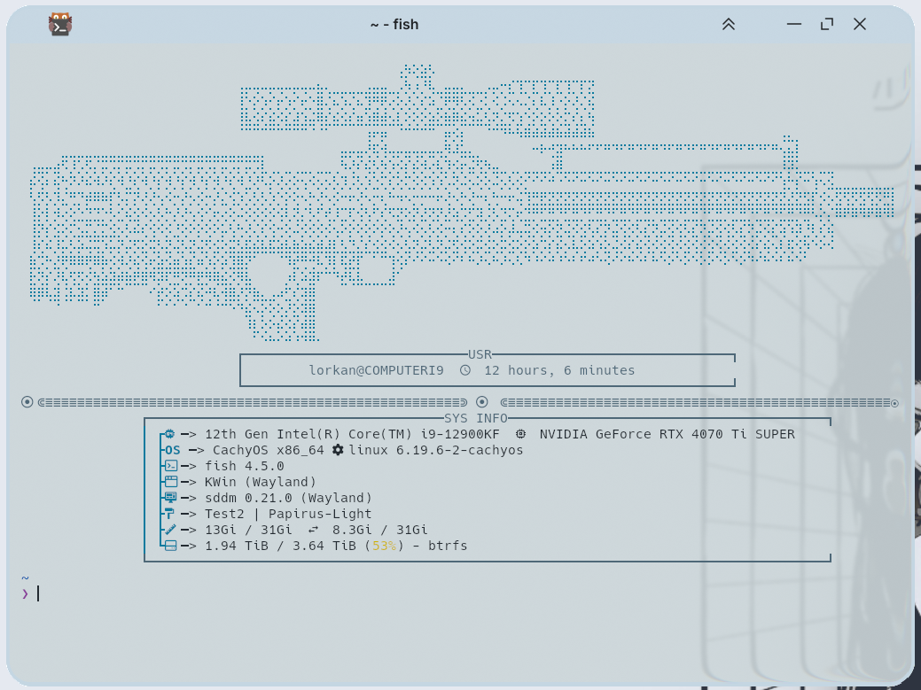 preview of the fastfetch